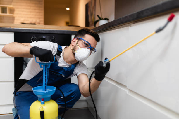 Professional Pest Control in Whitaker, PA