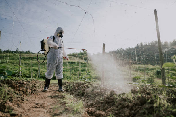 Best Ant Control Services  in Whitaker, PA
