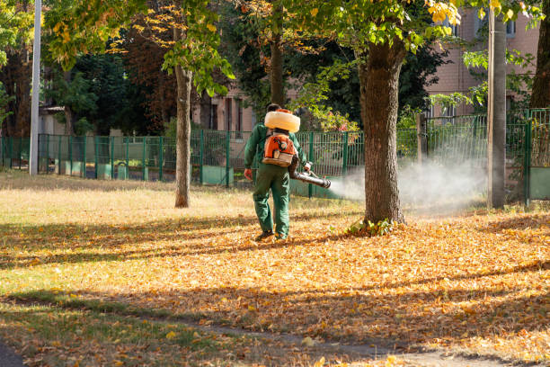 Best Best Pest Control Companies  in Whitaker, PA