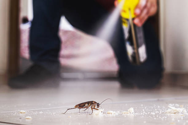 Best Residential Pest Control  in Whitaker, PA
