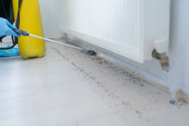 Best Pest Inspection Near Me  in Whitaker, PA